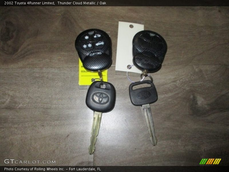 Thunder Cloud Metallic / Oak 2002 Toyota 4Runner Limited