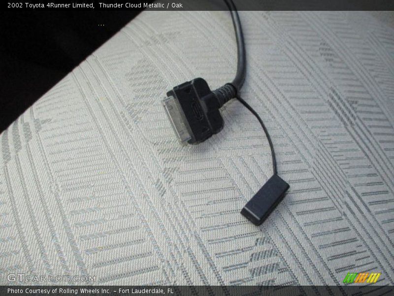 Thunder Cloud Metallic / Oak 2002 Toyota 4Runner Limited