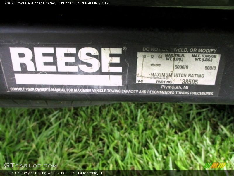 Thunder Cloud Metallic / Oak 2002 Toyota 4Runner Limited