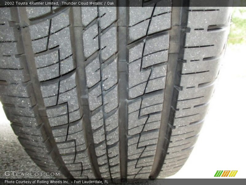 Thunder Cloud Metallic / Oak 2002 Toyota 4Runner Limited