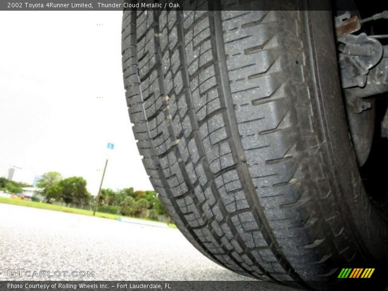 Thunder Cloud Metallic / Oak 2002 Toyota 4Runner Limited