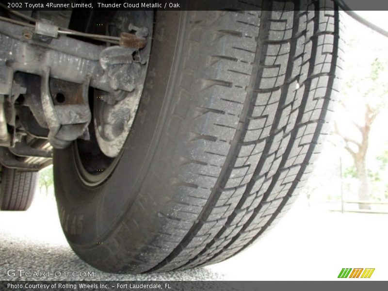 Thunder Cloud Metallic / Oak 2002 Toyota 4Runner Limited