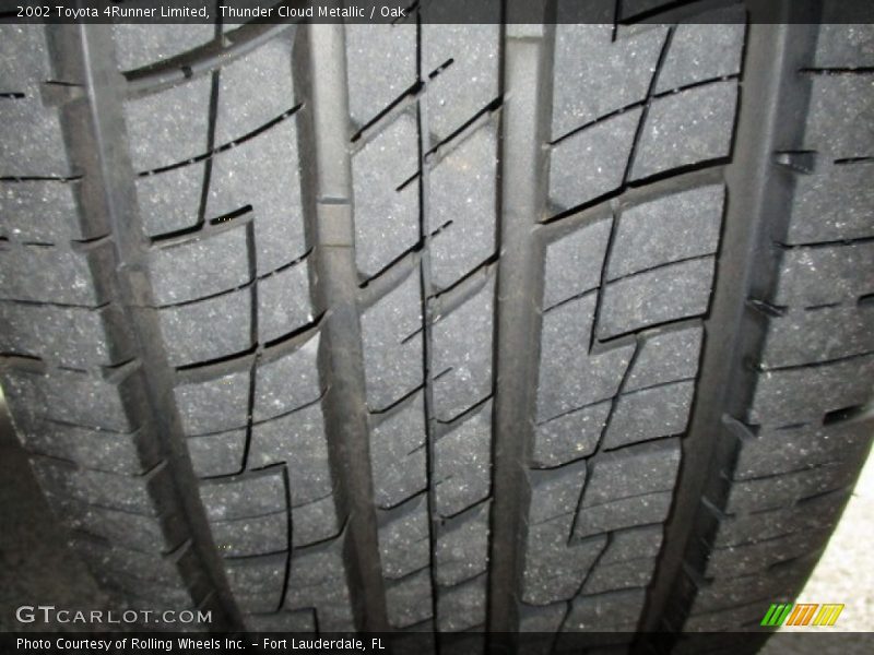 Thunder Cloud Metallic / Oak 2002 Toyota 4Runner Limited