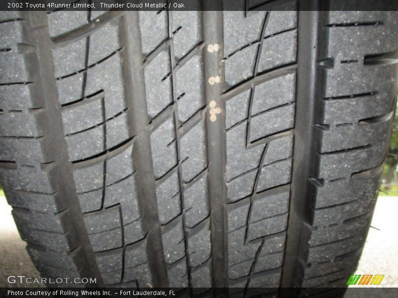 Thunder Cloud Metallic / Oak 2002 Toyota 4Runner Limited