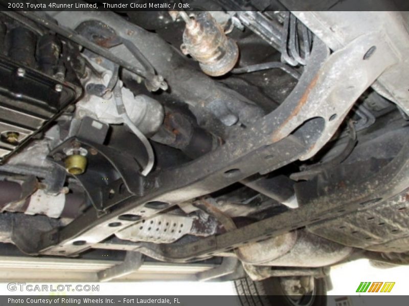 Thunder Cloud Metallic / Oak 2002 Toyota 4Runner Limited