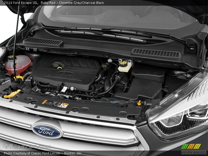 Ruby Red / Chromite Gray/Charcoal Black 2019 Ford Escape SEL