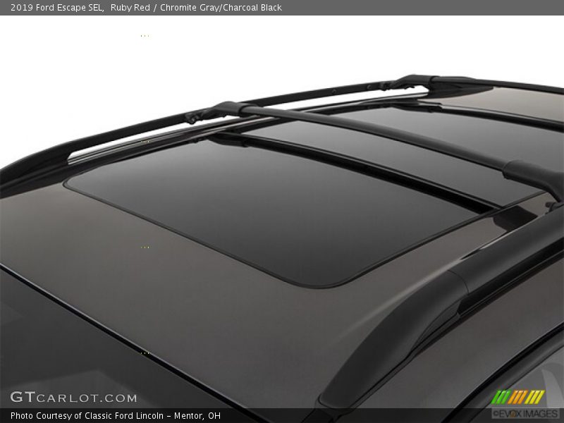 Ruby Red / Chromite Gray/Charcoal Black 2019 Ford Escape SEL
