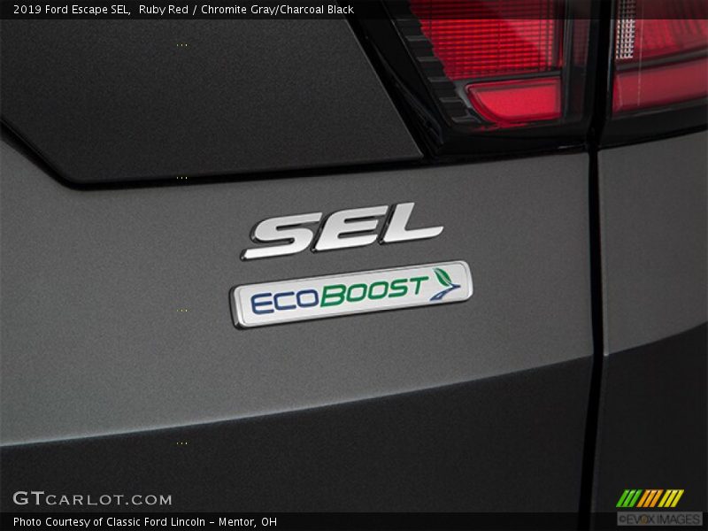 Ruby Red / Chromite Gray/Charcoal Black 2019 Ford Escape SEL
