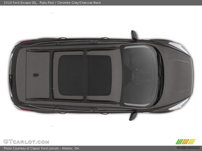 Ruby Red / Chromite Gray/Charcoal Black 2019 Ford Escape SEL