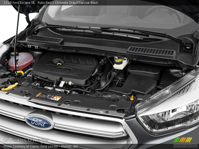 Ruby Red / Chromite Gray/Charcoal Black 2019 Ford Escape SE