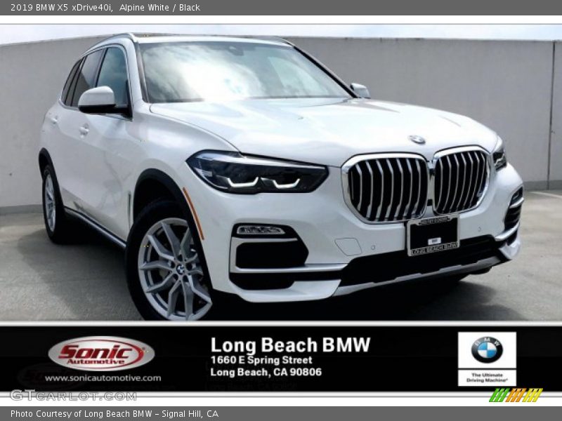 Alpine White / Black 2019 BMW X5 xDrive40i