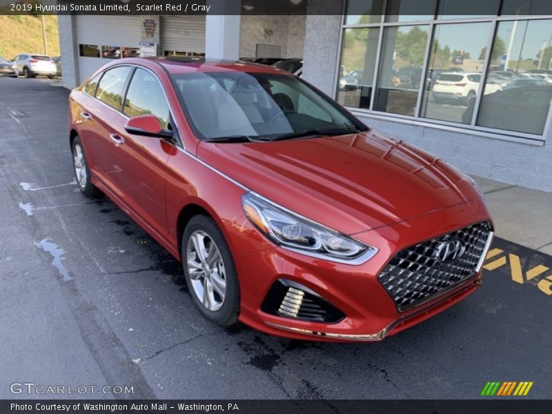 Scarlet Red / Gray 2019 Hyundai Sonata Limited