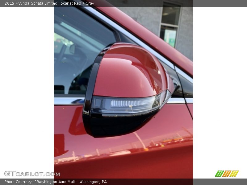 Scarlet Red / Gray 2019 Hyundai Sonata Limited