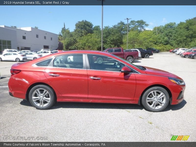 Scarlet Red / Gray 2019 Hyundai Sonata SEL