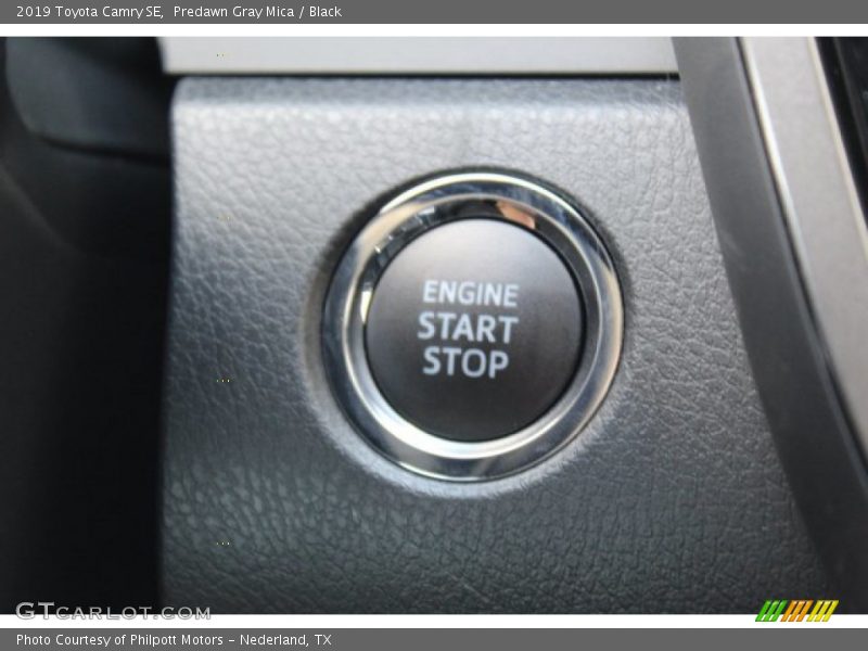 Predawn Gray Mica / Black 2019 Toyota Camry SE