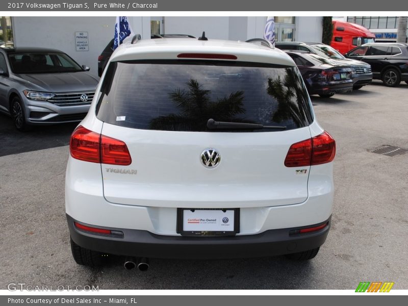 Pure White / Charcoal 2017 Volkswagen Tiguan S