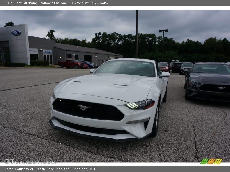 Oxford White / Ebony 2019 Ford Mustang EcoBoost Fastback