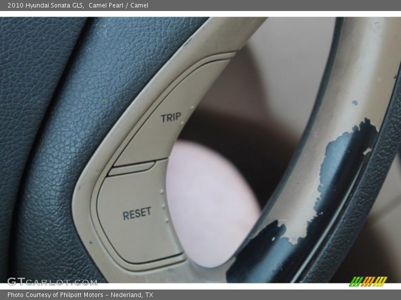 Camel Pearl / Camel 2010 Hyundai Sonata GLS