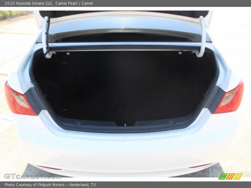 Camel Pearl / Camel 2010 Hyundai Sonata GLS