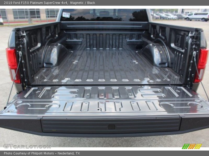 Magnetic / Black 2019 Ford F150 Platinum SuperCrew 4x4