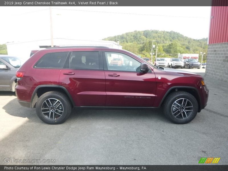 Velvet Red Pearl / Black 2019 Jeep Grand Cherokee Trailhawk 4x4