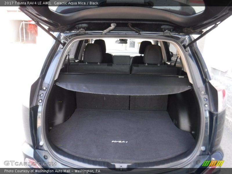 Galactic Aqua Mica / Black 2017 Toyota RAV4 LE AWD