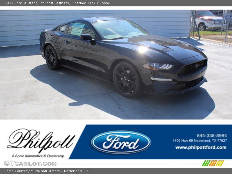 Shadow Black / Ebony 2019 Ford Mustang EcoBoost Fastback