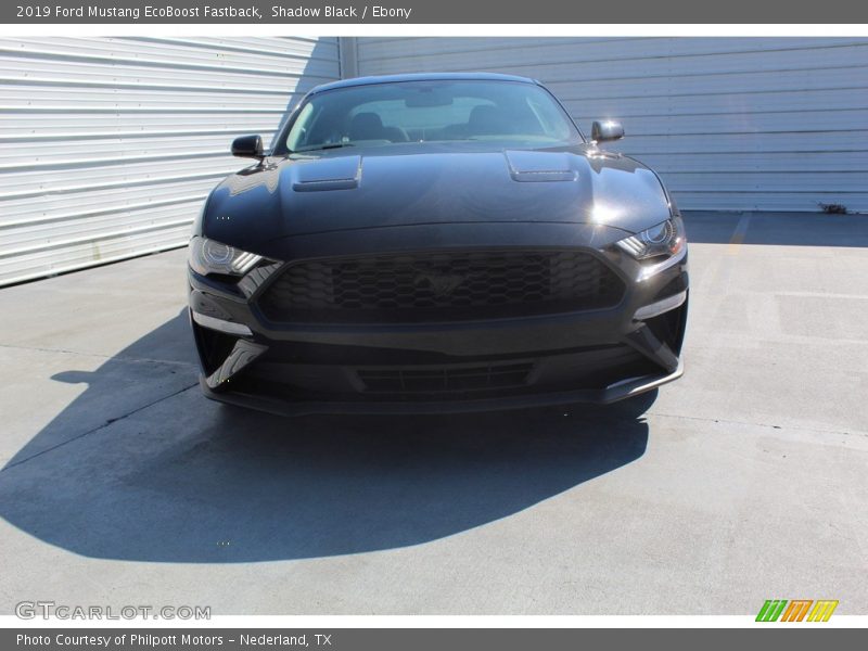 Shadow Black / Ebony 2019 Ford Mustang EcoBoost Fastback