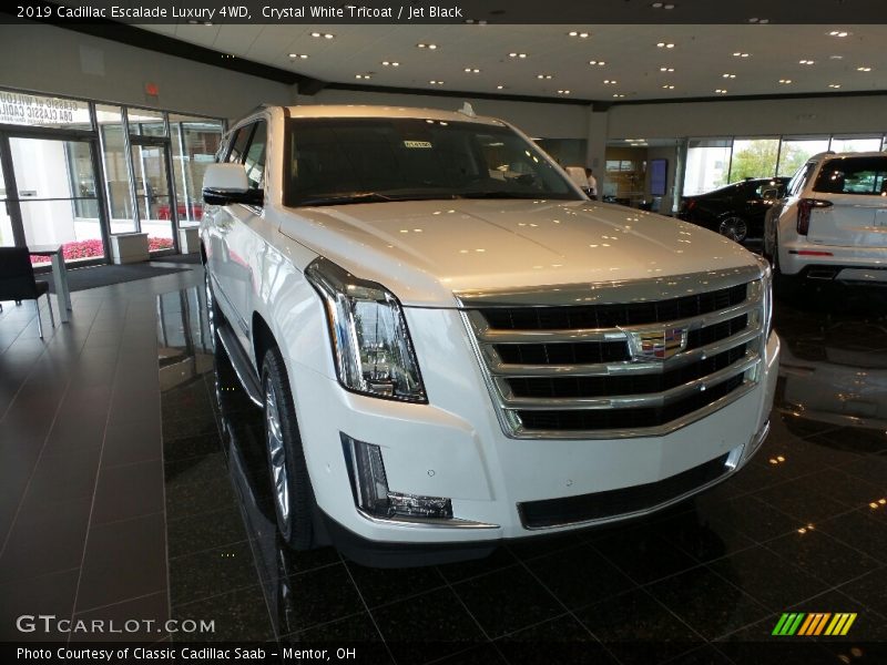 Crystal White Tricoat / Jet Black 2019 Cadillac Escalade Luxury 4WD