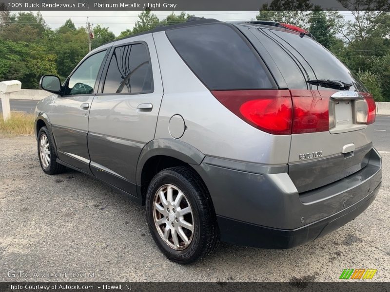 Platinum Metallic / Light Gray 2005 Buick Rendezvous CXL