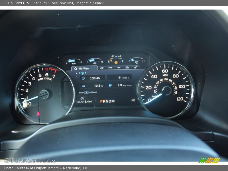 Magnetic / Black 2019 Ford F150 Platinum SuperCrew 4x4