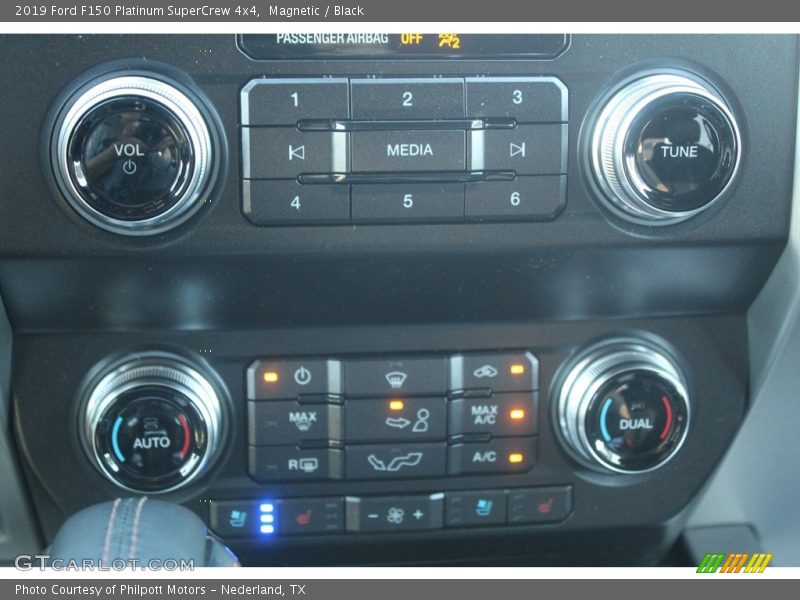 Magnetic / Black 2019 Ford F150 Platinum SuperCrew 4x4