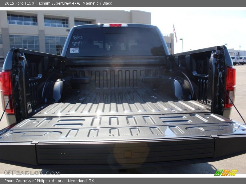 Magnetic / Black 2019 Ford F150 Platinum SuperCrew 4x4