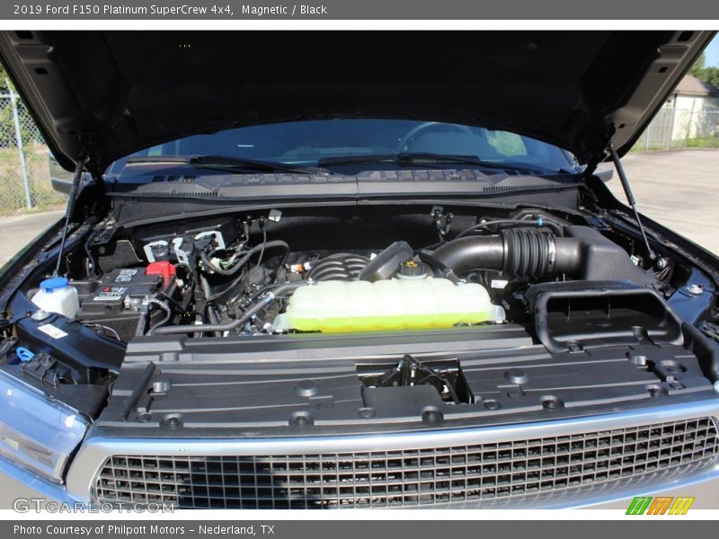 Magnetic / Black 2019 Ford F150 Platinum SuperCrew 4x4