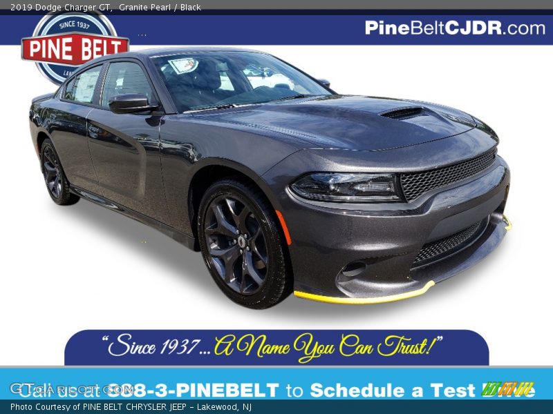 Granite Pearl / Black 2019 Dodge Charger GT