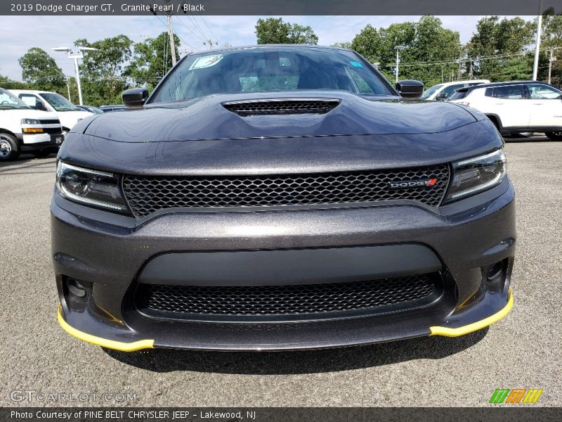 Granite Pearl / Black 2019 Dodge Charger GT