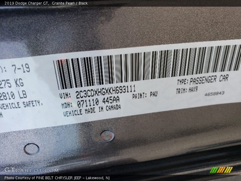Granite Pearl / Black 2019 Dodge Charger GT
