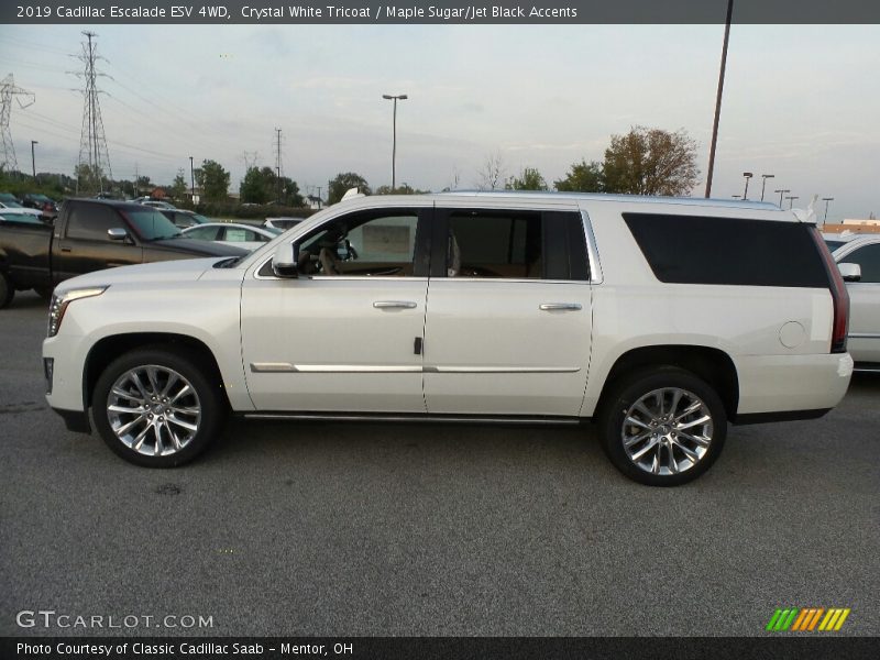  2019 Escalade ESV 4WD Crystal White Tricoat