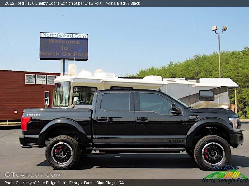 Agate Black / Black 2019 Ford F150 Shelby Cobra Edition SuperCrew 4x4