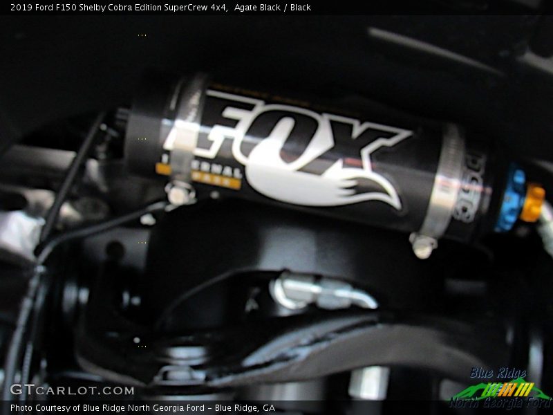 Agate Black / Black 2019 Ford F150 Shelby Cobra Edition SuperCrew 4x4