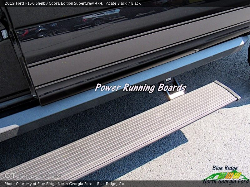 Agate Black / Black 2019 Ford F150 Shelby Cobra Edition SuperCrew 4x4