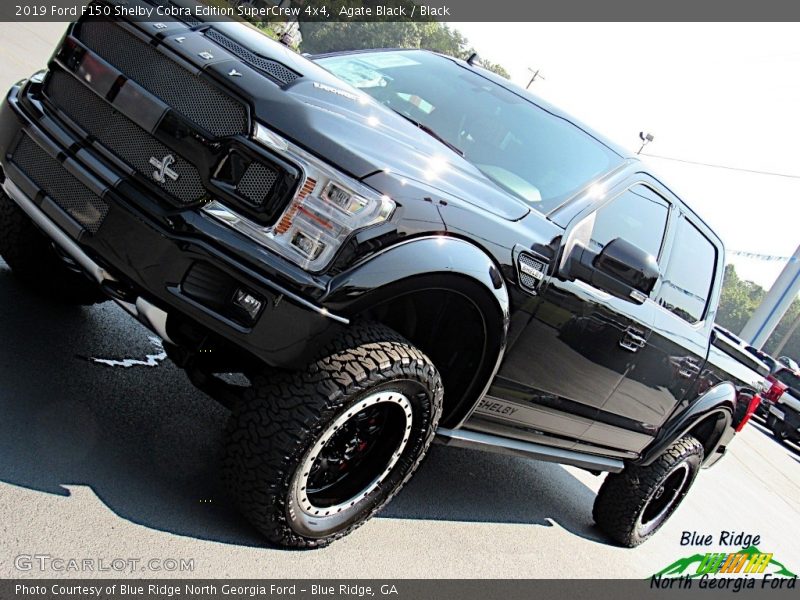 Agate Black / Black 2019 Ford F150 Shelby Cobra Edition SuperCrew 4x4