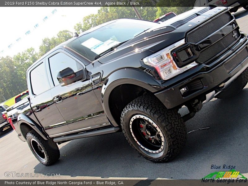 Agate Black / Black 2019 Ford F150 Shelby Cobra Edition SuperCrew 4x4