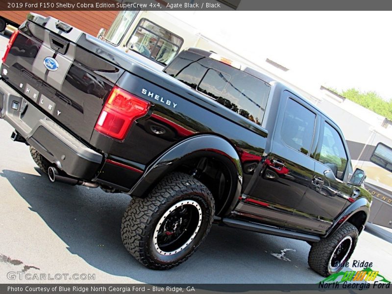 Agate Black / Black 2019 Ford F150 Shelby Cobra Edition SuperCrew 4x4