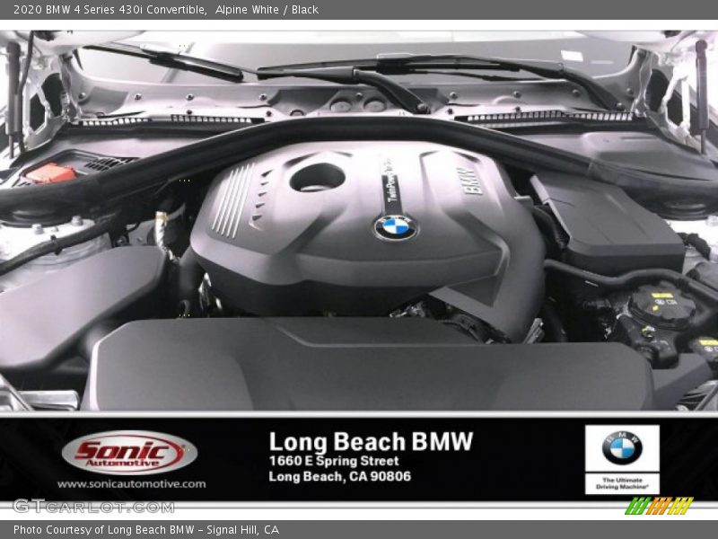 Alpine White / Black 2020 BMW 4 Series 430i Convertible