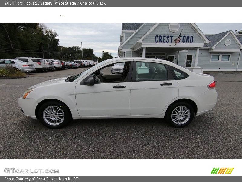 White Suede / Charcoal Black 2010 Ford Focus SE Sedan