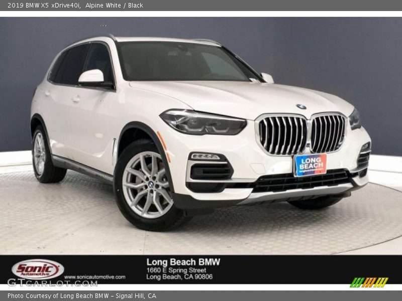 Alpine White / Black 2019 BMW X5 xDrive40i