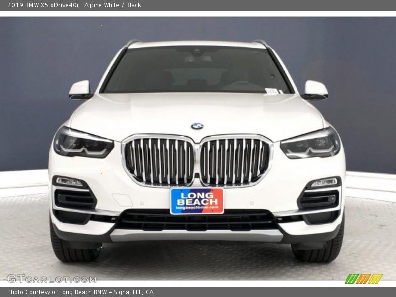 Alpine White / Black 2019 BMW X5 xDrive40i