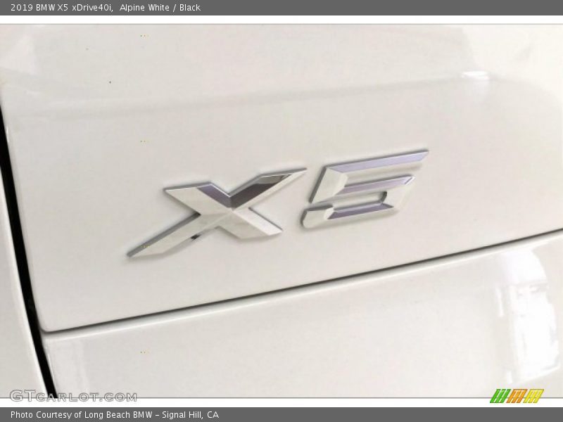 Alpine White / Black 2019 BMW X5 xDrive40i