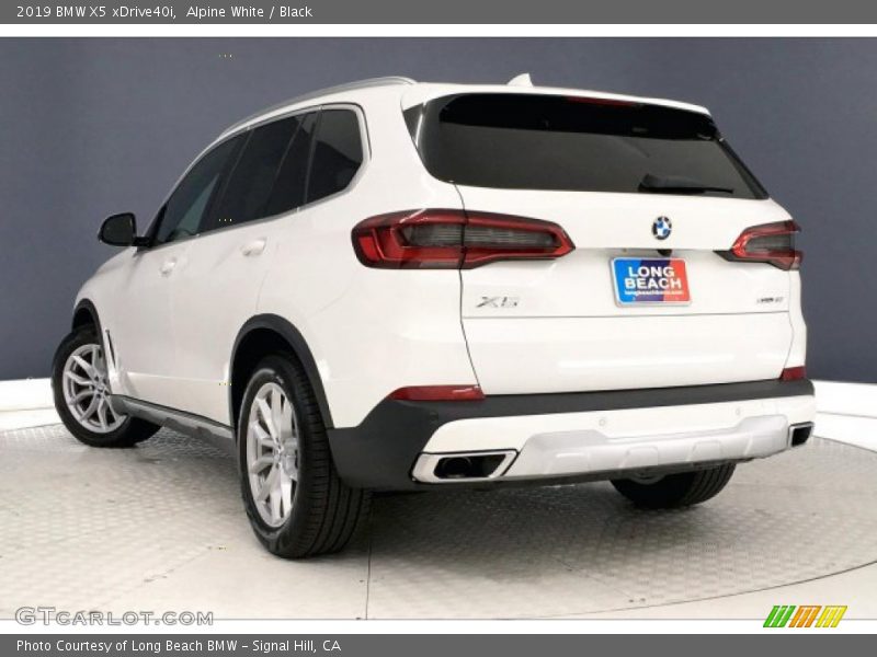 Alpine White / Black 2019 BMW X5 xDrive40i